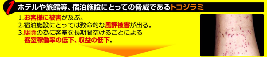 ホテルや旅館など宿泊施設の脅威、トコジラミ