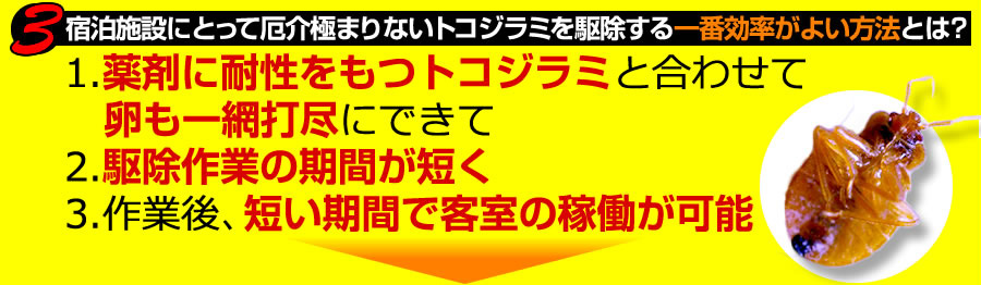 トコジラミを駆除する効率がよい方法